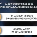2024 წელს სახელმწიფო ქონების ეროვნულმა სააგენტომ 14 მლნ ლარზე მეტი ღირებულების მოძრავი ქონება გაყიდა