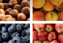 2024 წელს საქართველომ 236 მლნ აშშ დოლარის ღირებულების ხილი გაიტანა ექსპორტზე – წლიური ზრდა 14%-ს აჭარბებს