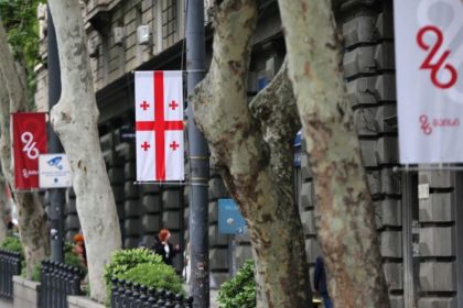საქართველოს დროშები და ქუჩის ხედვა, საქართველო
