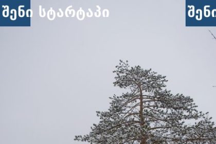 კაცი სეირნობს თოვლიან გარემოში, საქართველო
