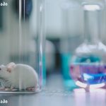 CRISPR ბაზური რედაქტირება ჰანტინგტონის დაავადება — ლაბორატორიული კვლევა