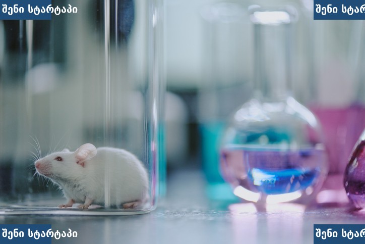 CRISPR ბაზური რედაქტირება ჰანტინგტონის დაავადება — ლაბორატორიული კვლევა