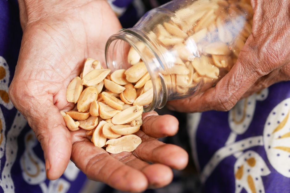 Daily Peanut Consumption Reverses a Decade of Age-Related Brain Blood Flow Decline — საქართველო, საქართველო