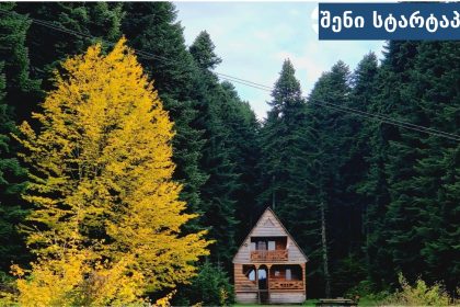 კოტეჯი სოჭი რაჭაში — ეკოლოგიურად სუფთა გარემო და მთის ხედები