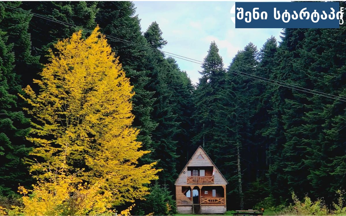 კოტეჯი სოჭი რაჭაში — ეკოლოგიურად სუფთა გარემო და მთის ხედები