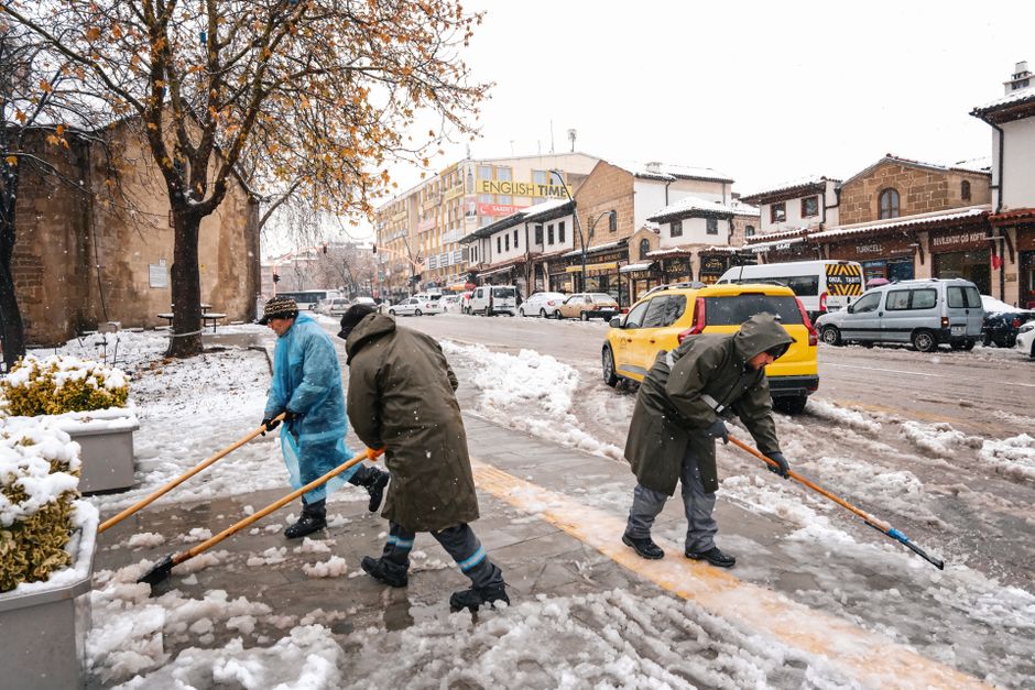 კუნთების ზრდა და ცილის წყარო — სპორტული კვების კვლევა