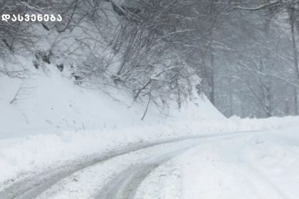 ზამთრის snowy გზა და ხეები, საქართველო