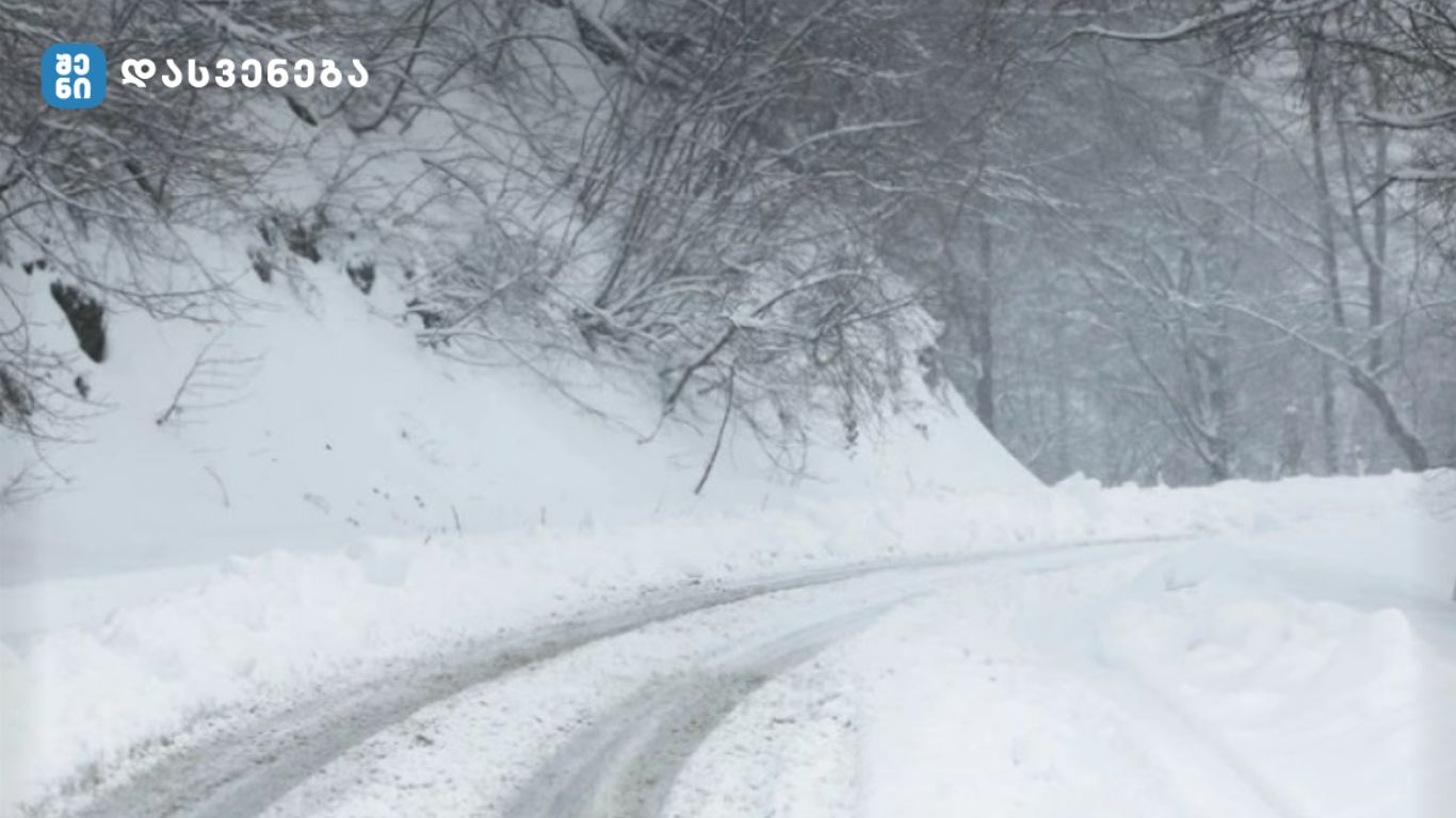 ზამთრის snowy გზა და ხეები, საქართველო
