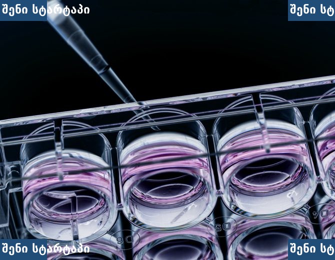Nova Biomedical და NanoCellect — უჯრედული ხაზების განვითარება ბიოპროცესირებაში