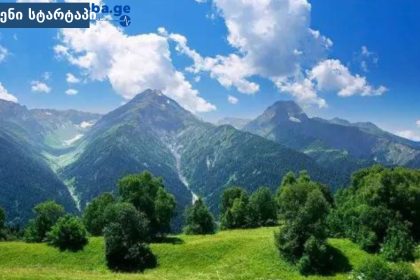 მთები და მწვანე ხეები, ლამაზი ხედები საქართველოში