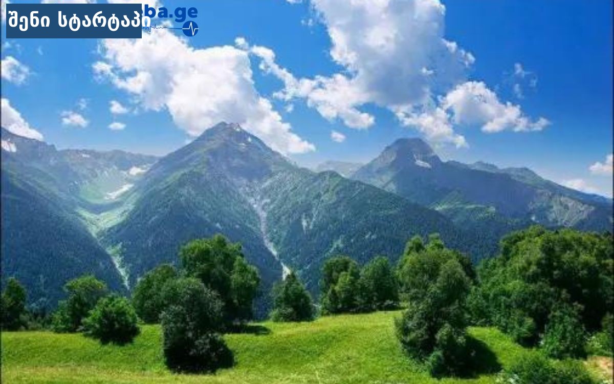 მთები და მწვანე ხეები, ლამაზი ხედები საქართველოში