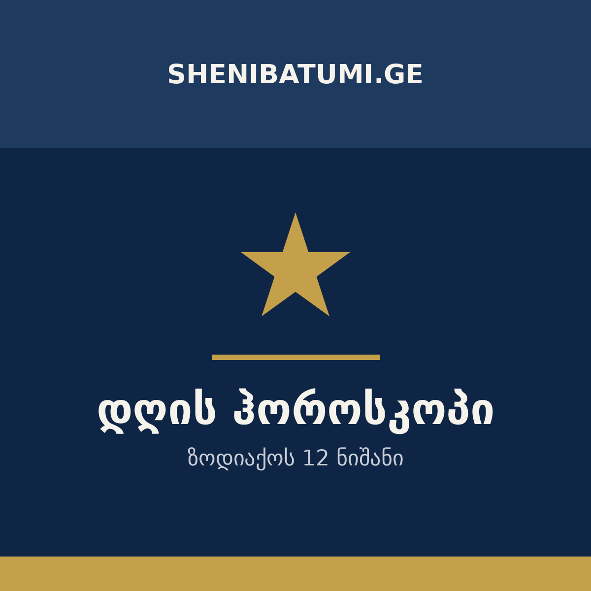 დილის პრესკონფერენცია, შენიბატუმი, საქართველო
