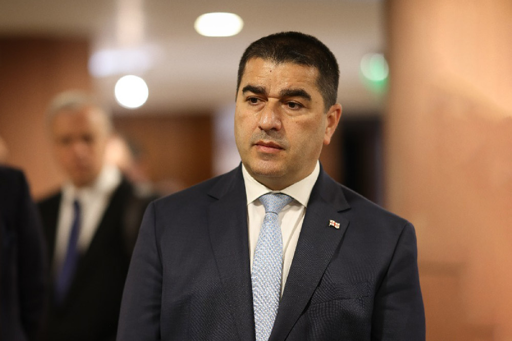 მამუკა მდინარაძე შეხვედრაზე, საქართველო