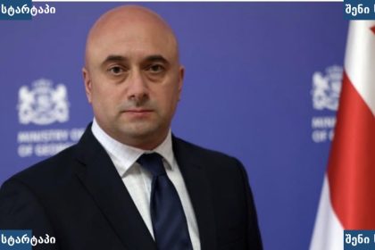 საქართველოს კულტურის მინისტრის მოვალეობას მიხეილ კიკნაძე შეასრულებს