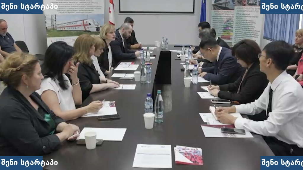 განათლების მინისტრის მოადგილე ჩინეთის ნანჯინგის ინსტიტუტის წარმომადგენლებს შეხვდა
