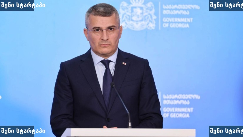 მთავრობის წარმომადგენელი პრეზენტაციის დროს, საქართველო