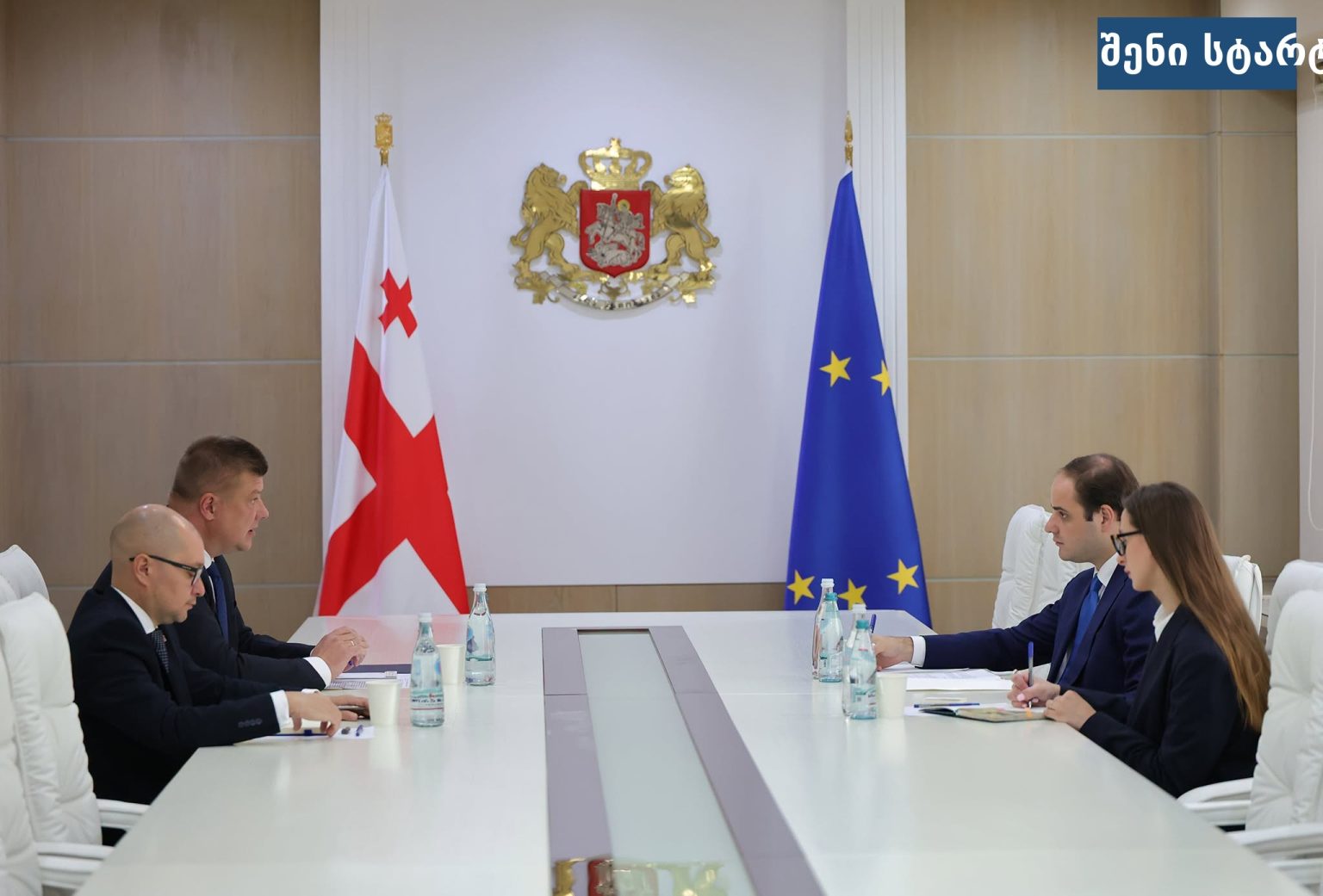 საქართველოს და ევროკავშირის წარმომადგენლების შეხვედრა, საქართველო