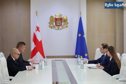 საქართველოს და ევროკავშირის წარმომადგენლების შეხვედრა, საქართველო