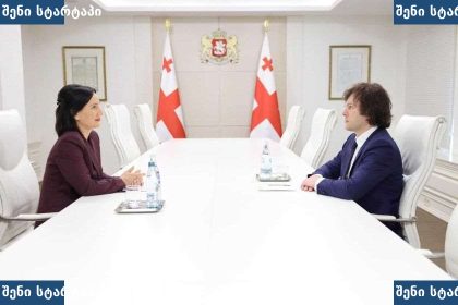 პრეზიდენტი და პრემიერ-მინისტრი საუბრობენ, საქართველო