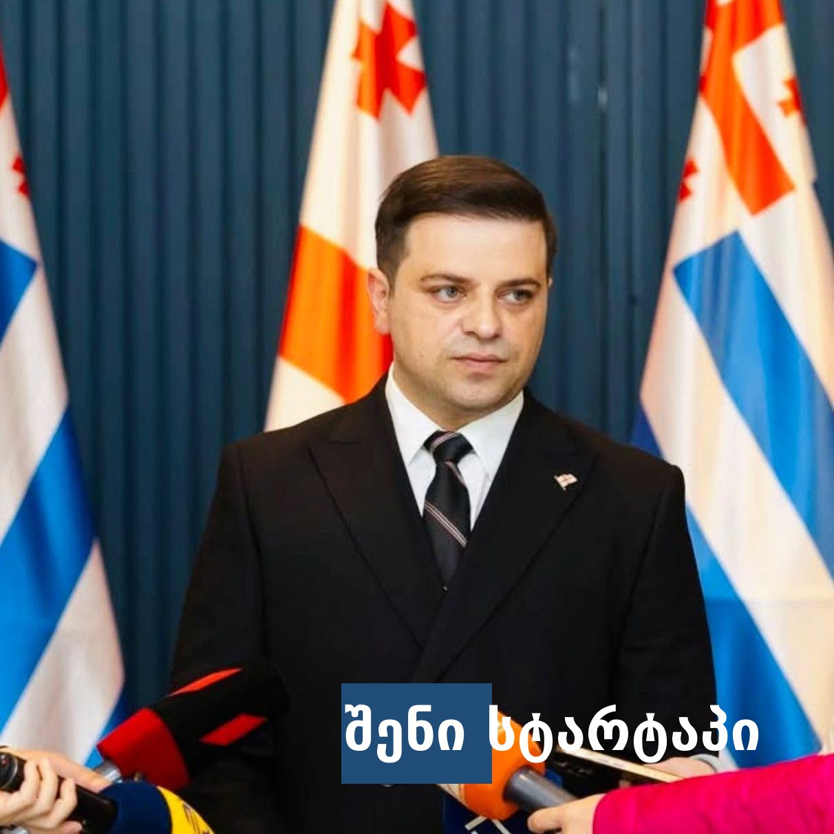 მთავრობის წევრი პრესკონფერენციაზე, საქართველო