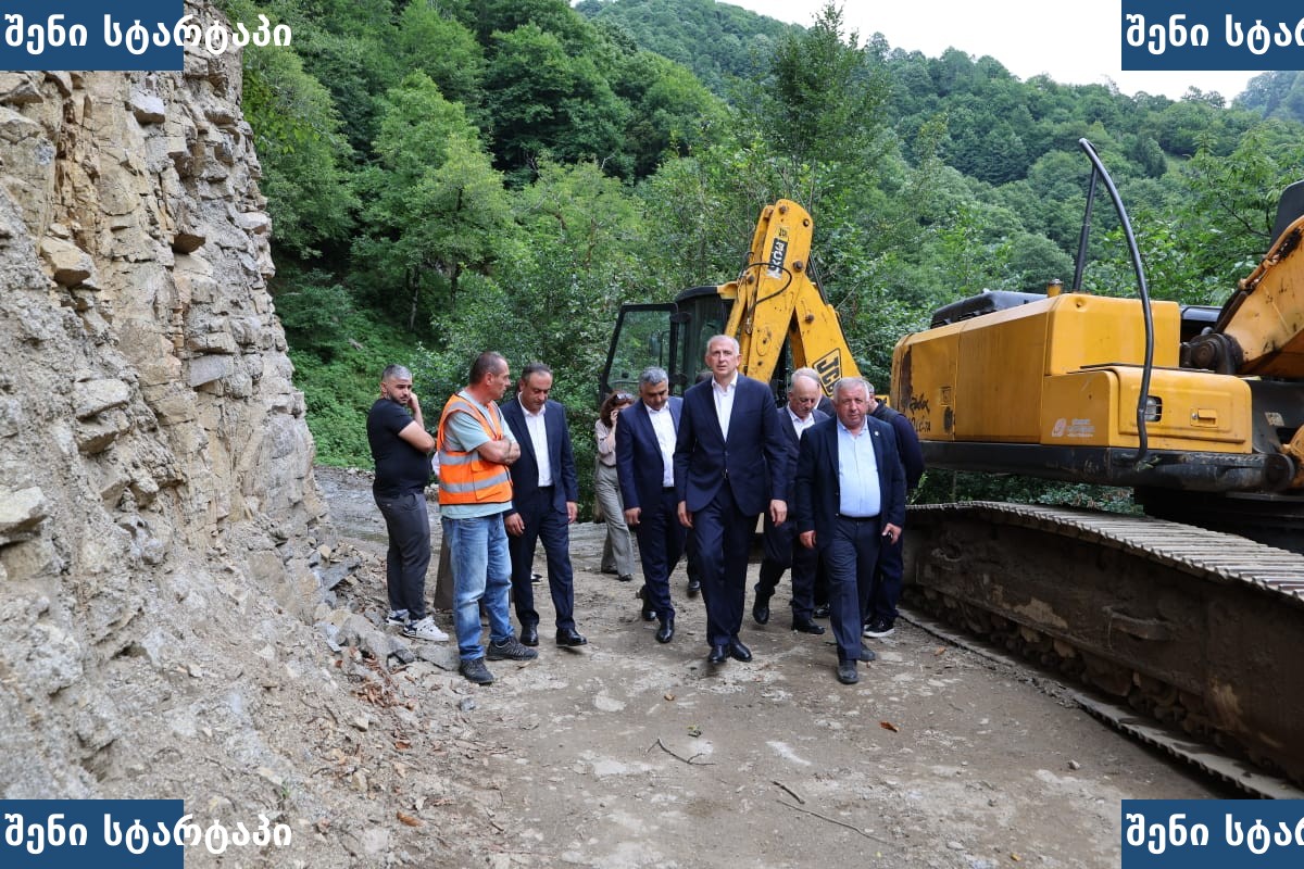 პროექტის ინსპექტირება მშენებლობის ადგილზე, საქართველო