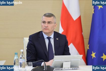 მოსახლეობის წარმომადგენელი შეხვედრაზე, საქართველო