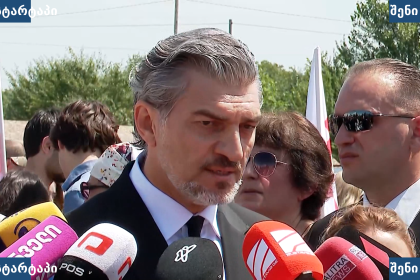 პოლიტიკოსი ჟურნალისტებთან საუბრის დროს, საქართველო
