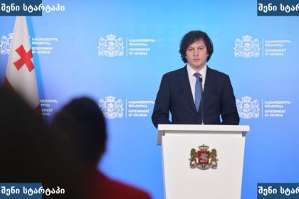 მთავრობის წარმომადგენელი პრესკონფერენციაზე, საქართველო