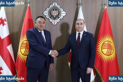 საქართველოსა და ყირგიზეთის წარმომადგენლების შეხვედრა, საქართველო