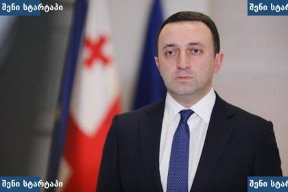 საქართველოს მთავრობის წევრი ოფიციალურ ღონისძიებაზე, საქართველო