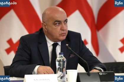 მთავრობის სხდომის მონაწილე, საქართველო