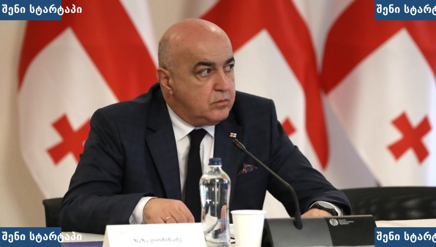 მთავრობის სხდომის მონაწილე, საქართველო