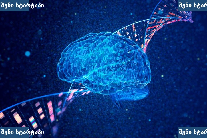 ციფრული ტვინი და გენეტიკური კოდი, საქართველო