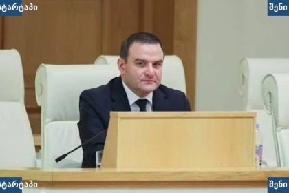 პოლიტიკოსი სხდომაზე, საქართველო