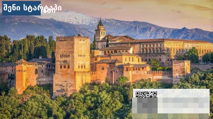 💶 გრანტები და პროგრამები — საქართველო