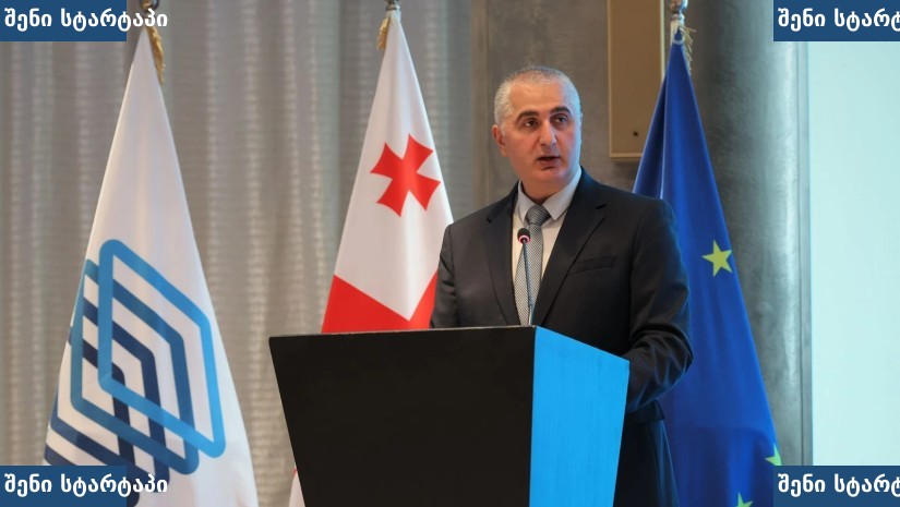 მამაკაცი პრეზენტაციის დროს, საქართველოს დროშები, საქართველო