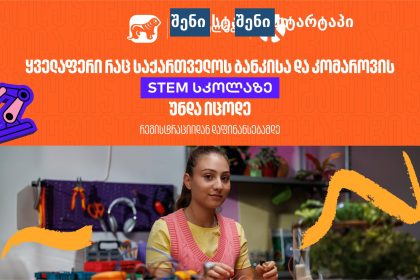 ბავშვები STEM-ის აქტივობებით არიან დაკავებული, საქართველო