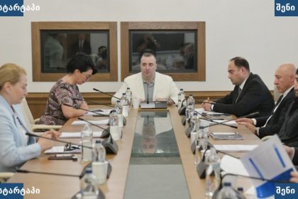 მთავრობის სხდომა, მონაწილეები, საქართველო