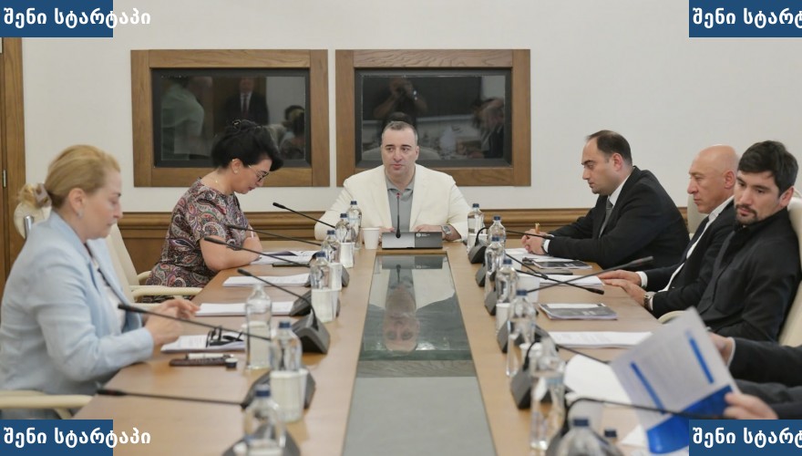 მთავრობის სხდომა, მონაწილეები, საქართველო