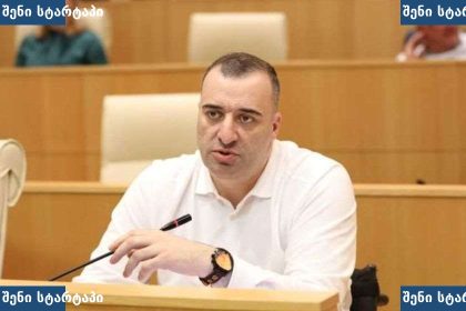 პოლიტიკოსი საუბრობს პარლამენტში, საქართველო