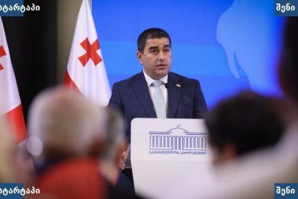 მთავრობის წარმომადგენელი პრეზენტაციაზე, საქართველო