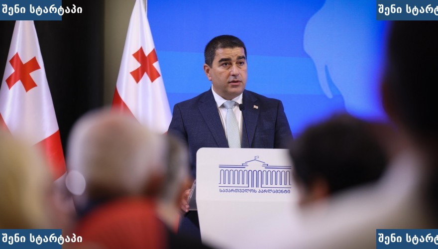 მთავრობის წარმომადგენელი პრეზენტაციაზე, საქართველო