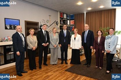 მთავრობის წევრები შეხვედრაზე, საქართველო