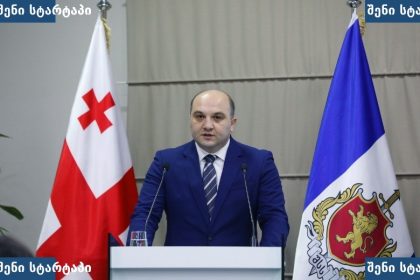 მთავრობის წარმომადგენელი პრეზენტაციაზე, საქართველო