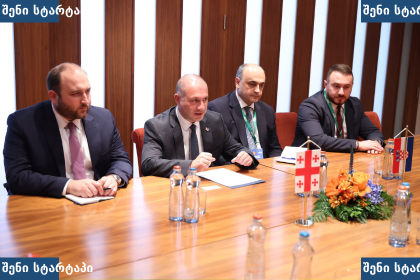 მთავრობის წარმომადგენლები მოლაპარაკებების პროცესში, საქართველო
