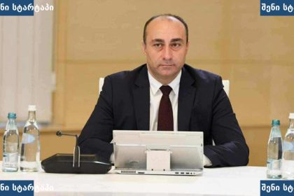 მამუკა მდინარაძე მოლაპარაკების პროცესში, საქართველო