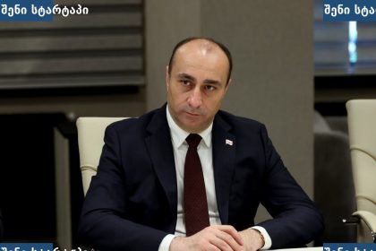 ბიზნეს შეხვედრის მონაწილე, საქართველო