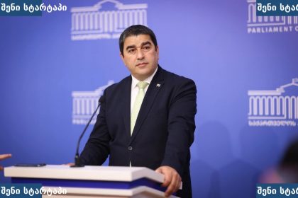 პოლიტიკოსი პარლამენტის ფონზე, საქართველო