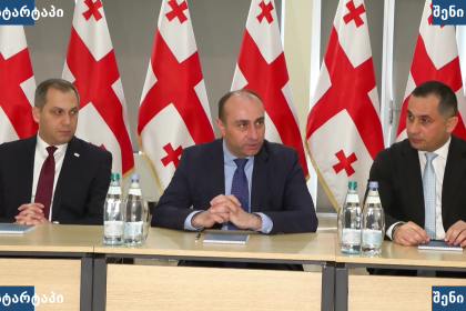 მთავრობის წარმომადგენლები შეხვედრაზე, საქართველო