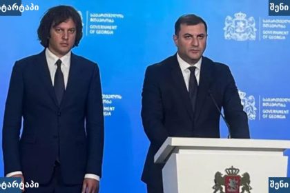 მთავრობის წარმომადგენლები პრესკონფერენციაზე, საქართველო
